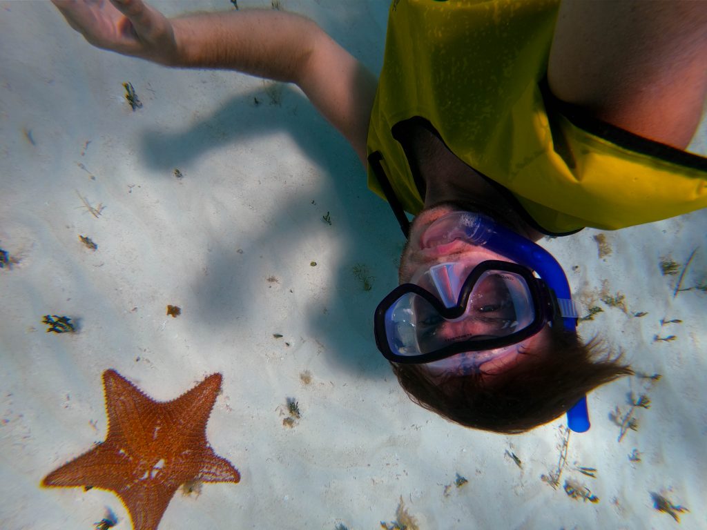 starfish Playa del carmen