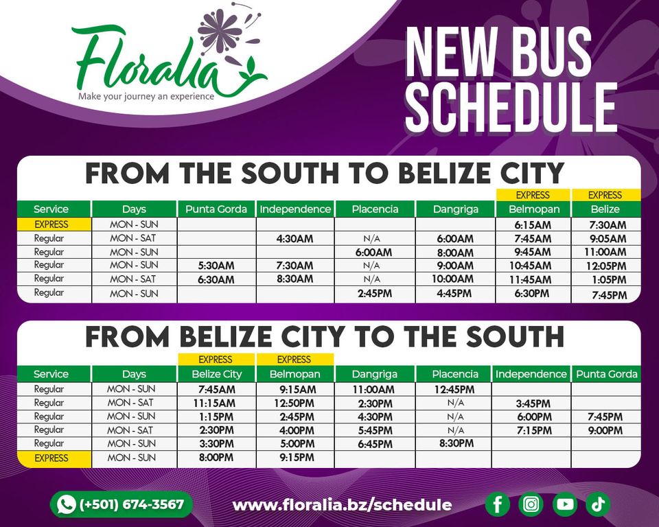 Belize City to Placencia by public bus